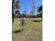 A disc golf basket sits in a grassy area surrounded by palm trees and a vibrant blue sky at 329 Carriage Wheel Rd, Moncks Corner, SC 29461