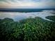 Breathtaking aerial view of marshlands surrounded by a dense green forest at 3893 Summerton St, Mount Pleasant, SC 29466