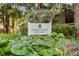 Summer Wind Cottages sign surrounded by lush, green landscaping at 1153 Summerwind Ln, Seabrook Island, SC 29455