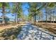 Enjoy the outdoors and take a stroll on the scenic walking path surrounded by lush greenery and mature trees at 123 Hewitt St, Summerville, SC 29486