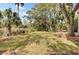 Expansive backyard with a lush lawn, mature trees, and a serene natural setting at 1428 Bloomingdale Ln, Mount Pleasant, SC 29466