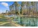 Scenic view of a picturesque pond with a fountain and bordering mature trees at 1807 Chauncy'S Ct, Mount Pleasant, SC 29466