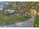 Lush landscaping featuring mature oak trees draped with Spanish moss beside a sidewalk at 1822 Chatelain Way, Mount Pleasant, SC 29464