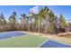 A community basketball court surrounded by trees at 203 Hayworth Rd, Summerville, SC 29486