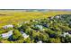 Scenic aerial view showcases beautiful homes nestled among lush trees, with a marsh in the background at 2314 Goldbug Ave, Sullivans Island, SC 29482