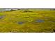 The marsh views show green space surrounding the house at 2314 Goldbug Ave, Sullivans Island, SC 29482