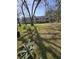 Backyard view showcasing the wooded area, greenery, and mature trees behind the condo at 2326 Treescape Dr # 2, Charleston, SC 29414