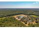 Expansive aerial view showcasing a private lake surrounded by lush green forest at 2964 Lodge Berry Ln, Johns Island, SC 29455
