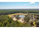 Aerial shot of a picturesque community with a lake, homes, and mature trees at 2964 Lodge Berry Ln, Johns Island, SC 29455
