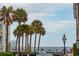 Scenic street view featuring palm trees, water, and a glimpse of the neighborhood's charm at 3 Atlantic St, Charleston, SC 29401