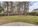 Open backyard featuring a green lawn, black fence, and tall trees for added privacy at 3409 Southern Cottage Way, Mount Pleasant, SC 29466