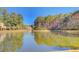 Large pond surrounded by green trees at 3409 Southern Cottage Way, Mount Pleasant, SC 29466