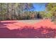 Well-maintained tennis court surrounded by lush greenery and a tall fence at 3409 Southern Cottage Way, Mount Pleasant, SC 29466