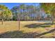 Outdoor sand volleyball court surrounded by trees and grass at 3409 Southern Cottage Way, Mount Pleasant, SC 29466