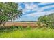 Tranquil marsh view framed by lush vegetation and oak trees, creating a peaceful and scenic natural landscape at 4247 Faber Place Dr # 5103, North Charleston, SC 29405