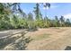 Expansive backyard with manicured lawn and mature trees offering privacy and natural beauty at 458 Four Seasons Blvd, Summerville, SC 29486