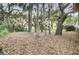 Backyard with mature trees, shrubs and lawn at 60 Fairway Dunes Ln, Isle of Palms, SC 29451