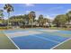 A recreational sport court surrounded by lush trees and landscaping for a serene experience at 60 Fairway Dunes Ln, Isle of Palms, SC 29451