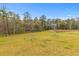 Expansive backyard with trees and a small pond, offering a peaceful outdoor setting at 68 Red Bluff St, Summerville, SC 29483