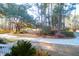Well-manicured front yard featuring an established lawn and mature trees at 10812 Dorchester Rd, Summerville, SC 29485