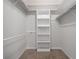 White walk-in closet with shelving and hanging space is ideal for storage at 10812 Dorchester Rd, Summerville, SC 29485