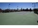 Tennis court with lighting, net, and surrounding trees and community homes under a sunny blue sky at 126 Citrea Dr, Summerville, SC 29483