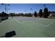 Well-maintained tennis court with lighting and net, surrounded by community homes under a bright blue sky at 126 Citrea Dr, Summerville, SC 29483