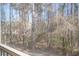 Screened-in view of trees offers a peaceful and private living experience at 1413 Basildon Rd, Mount Pleasant, SC 29466