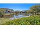 Community pond surrounded by lush greenery and views of the neighborhood townhomes at 162 Winding River Dr, Johns Island, SC 29455