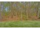 Lush green backyard backing onto a serene wooded area at 164 Buchanan Cir, Goose Creek, SC 29445