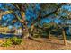 A sprawling oak tree shades a hammock in the community green space at 2022 Chatelain Way, Mount Pleasant, SC 29464