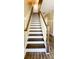 A staircase with dark wood steps and white risers, featuring decorative trim and a stained wood banister at 263 Stefan Dr, Charleston, SC 29412