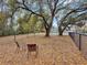 Fenced dog park with mature trees, providing ample shade, a comfortable space for pets, and community interaction at 268 Alexandra Dr # 9, Mount Pleasant, SC 29464