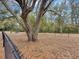 Fenced dog park with mature trees and seating, providing a shady, comfortable space for pets and community interaction at 268 Alexandra Dr # 9, Mount Pleasant, SC 29464