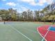Community tennis and basketball court with well-maintained surface and nets, perfect for sports enthusiasts and community activities at 268 Alexandra Dr # 9, Mount Pleasant, SC 29464