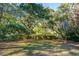 Spacious backyard shaded by mature trees, perfect for outdoor activities and relaxation at 562 Fort Johnson Rd, Charleston, SC 29412