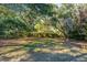 Backyard featuring mature trees, offering shaded outdoor space for recreation or gardening at 562 Fort Johnson Rd, Charleston, SC 29412