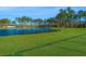 Beautiful pond surrounded by lush greenery and trees at 607 Silver Spruce St, Summerville, SC 29486