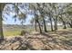 A shady backyard view featuring old trees, Spanish moss, and a wooden dock in the distance at 741 Creekside Dr, Mount Pleasant, SC 29464