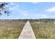 View down a wooden dock stretching across marsh grass, leading to a peaceful waterway at 741 Creekside Dr, Mount Pleasant, SC 29464