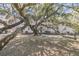 Charming two-story home with a covered porch, framed by a majestic tree draped with Spanish moss at 741 Creekside Dr, Mount Pleasant, SC 29464
