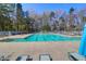 Inviting community pool area with lounge chairs and umbrellas for relaxation at 8506 Kennestone Ln, North Charleston, SC 29420