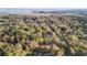 Stunning aerial view of a secluded residence nestled among lush trees at 1174 Fort Johnson Rd, James Island, SC 29412