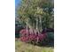 Lush backyard with blooming azaleas and a graceful tree draped with Spanish moss at 1236 Fort Dr, Hanahan, SC 29410
