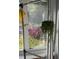 Sunroom window with view of garden and hanging plant and yellow watering can at 1236 Fort Dr, Hanahan, SC 29410