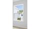 Bright window framing the view of the house and backyard at 182 E Pinckney St, Lincolnville, SC 29485