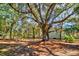 Expansive backyard offering a peaceful retreat with mature trees and lush greenery at 2107 Nicholas David Path, Johns Island, SC 29455
