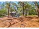 Spacious backyard featuring a charming patio with Adirondack chairs and lush, mature trees at 2107 Nicholas David Path, Johns Island, SC 29455