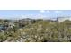 Picturesque ocean view of neighborhood trees and stunning homes at 2607 Cameron Blvd, Isle of Palms, SC 29451