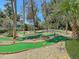 Fun mini golf course with mature landscaping and interesting course features makes for a Gathering-friendly outdoor experience at 263 Sea Cloud Cir, Edisto Island, SC 29438